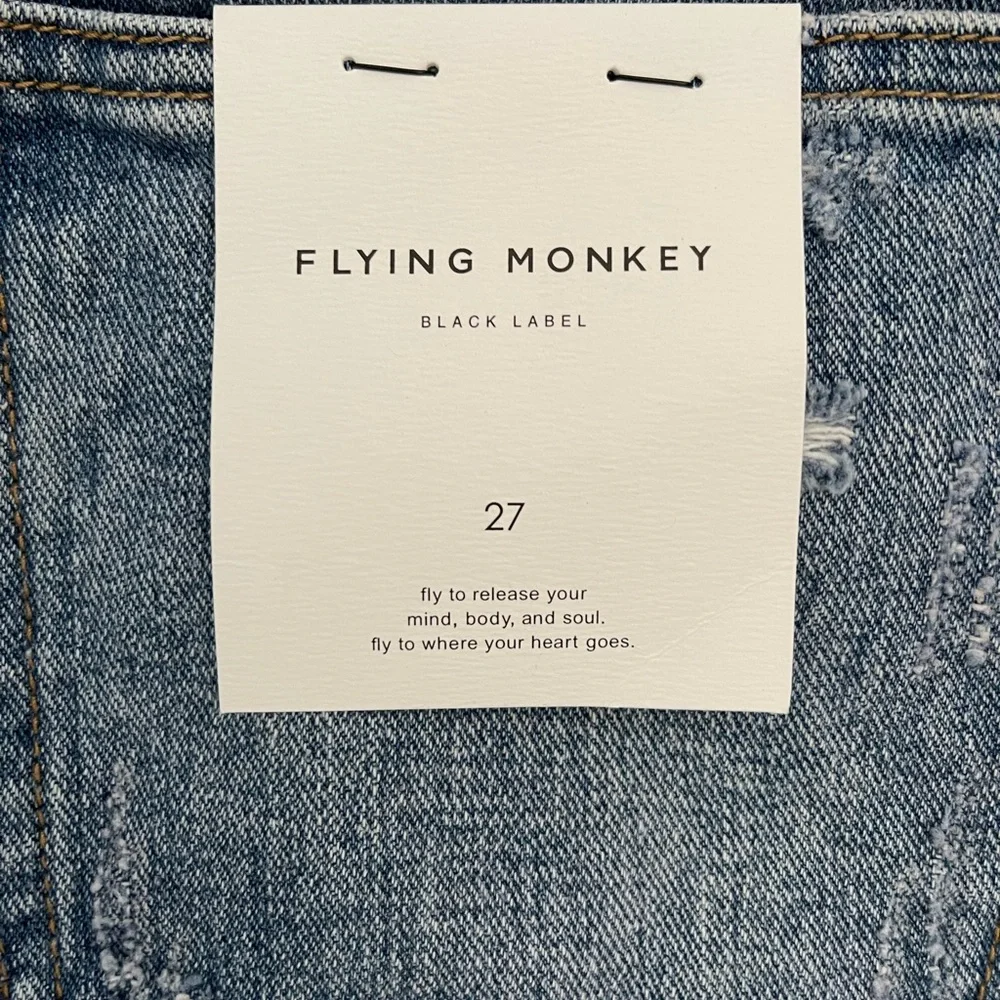Flying Monkey - Picture 4 of 5